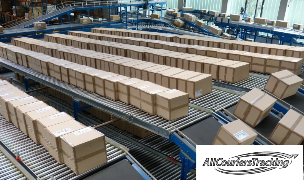 Common Reasons Your Package Is Delayed